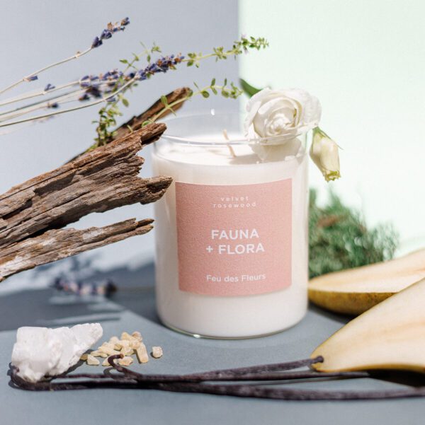 Geurkaars | Fauna Flora - Afbeelding 2