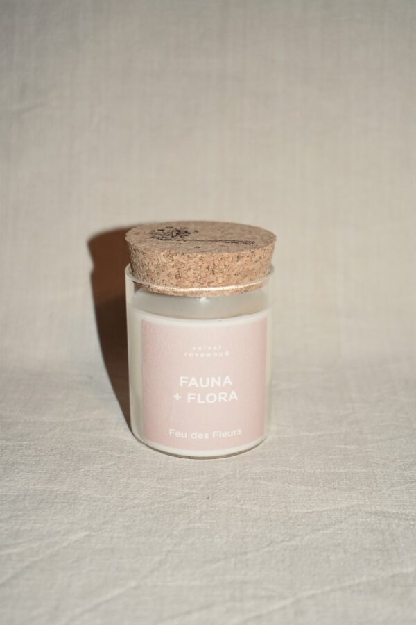 Geurkaars | Fauna Flora